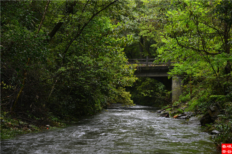 西源——石峡谷韵春意浓