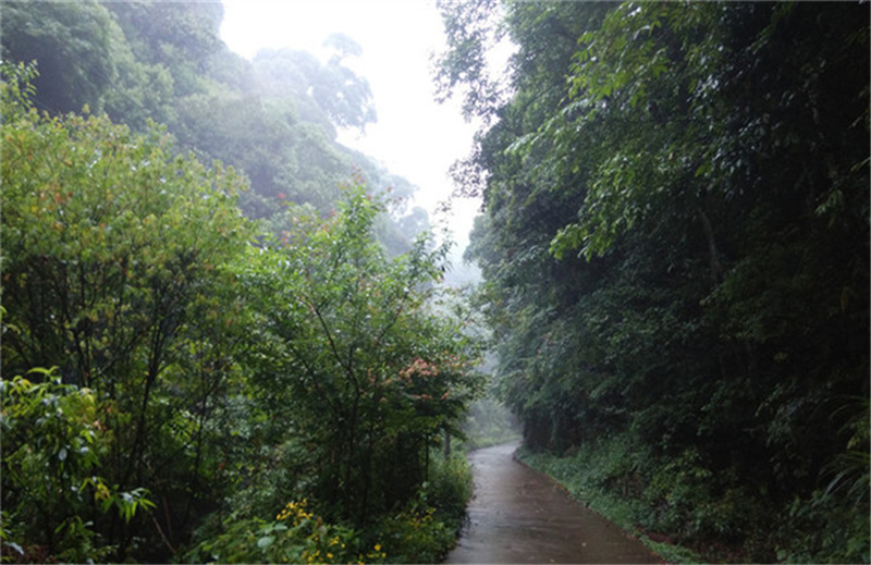 西源——石峡谷韵春意浓